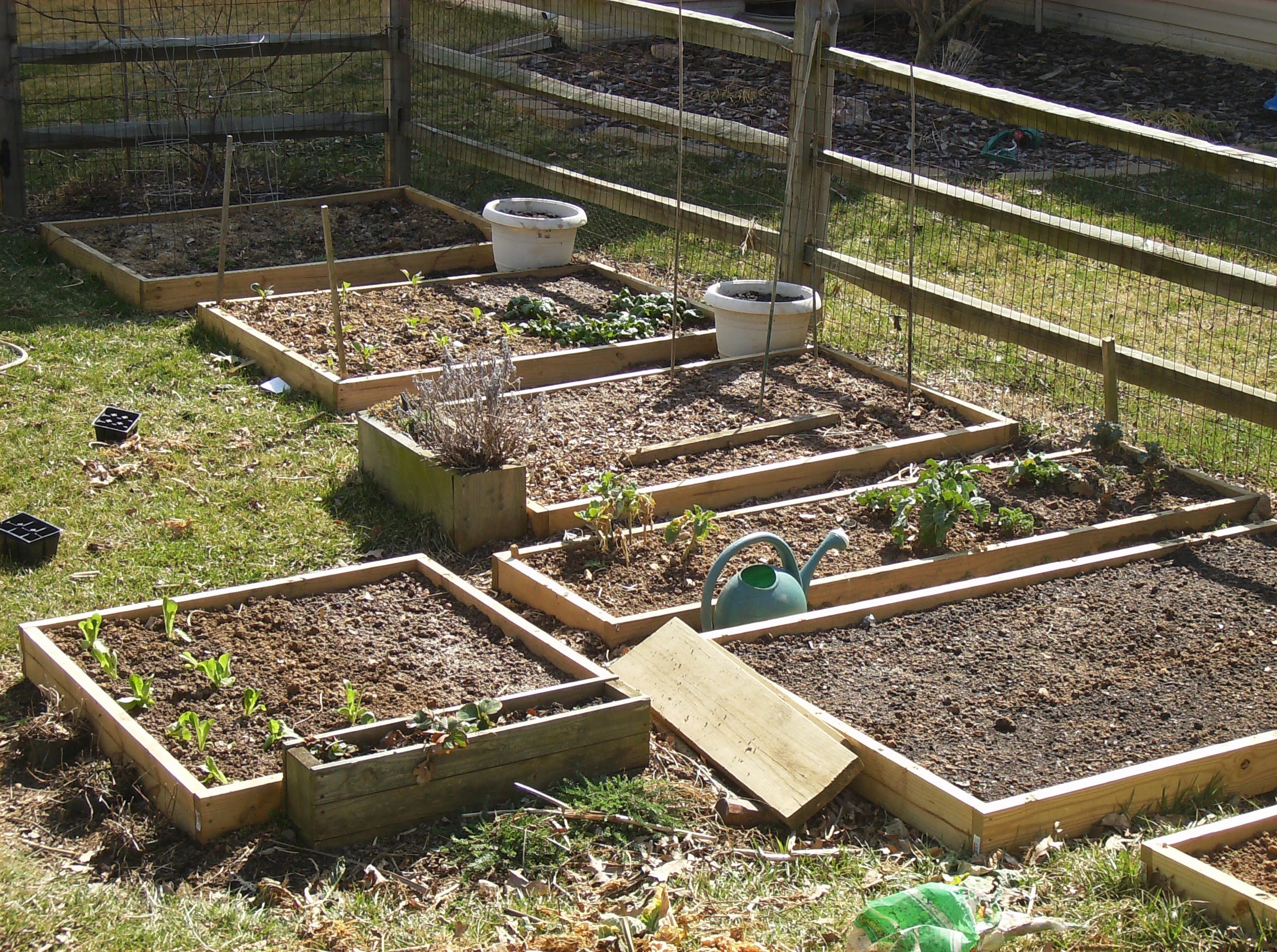 How To Create A Raised Bed Vegetable Garden The Poetic Vegetable